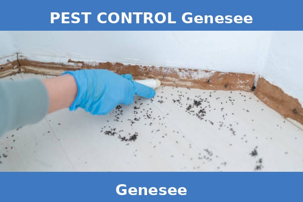 PEST CONTROL Genesee